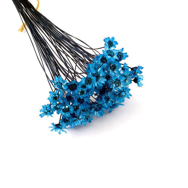 Wholesale small star flower dried flower Mini small Daisy wild chrysanthemum crystal glue drop handmade diy making filling material accessories